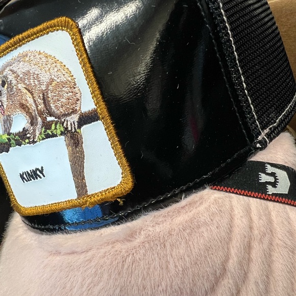 Goorin Farms Limited Edition - HONEY BEAR - KINKY - Picture 4 of 8